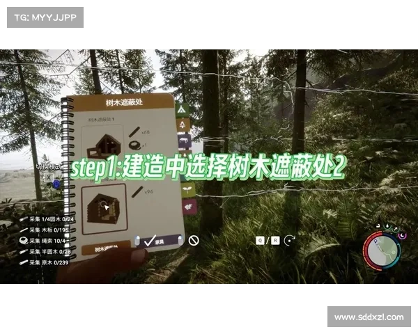 森林之木:卡木头大作战 森林之木:卡木头大作战